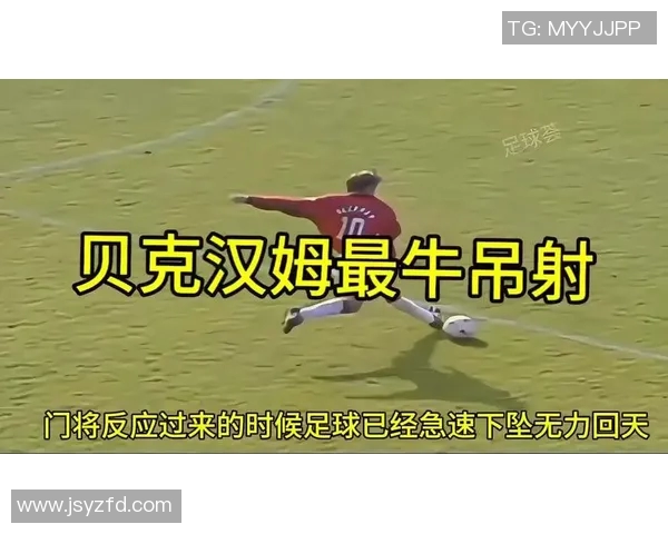 足球明星们的钓鱼奇遇记精彩视频集锦尽在这里快来观看吧