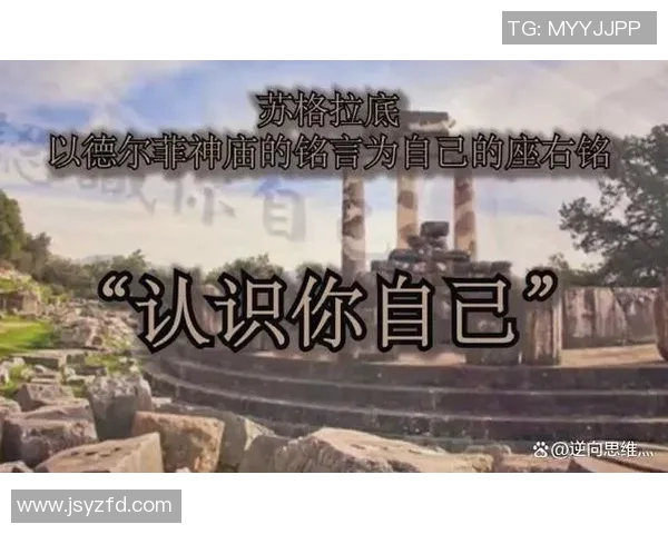 俱乐与自由队的精彩对决揭示了团队合作与个人自由的深刻哲学思考