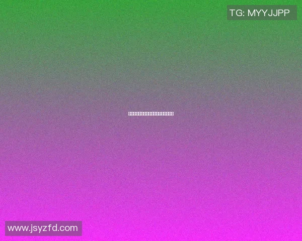 篮球明星嘉善的成长之路与辉煌成就探秘